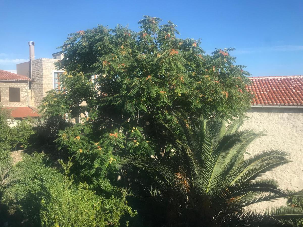 אולסינץ' Apartments Gusar מראה חיצוני תמונה